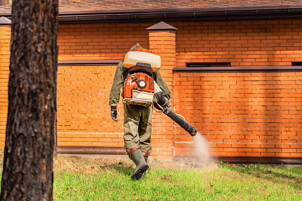 Bed Bug Clearance Verification and Documentation in Kissimmee